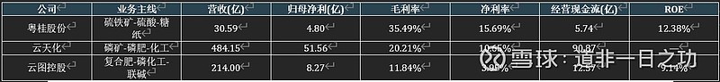 6月8日粤桂股份涨停：白糖，调味品，硫酸概念热股