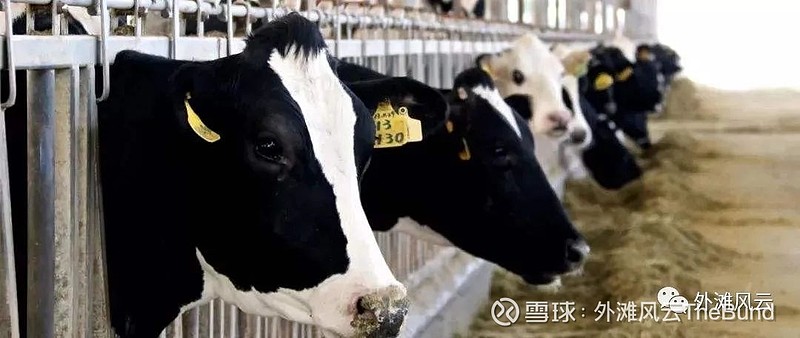 蒙牛乳业(02319.HK)连续2日回购,累计斥资2323.73万港元